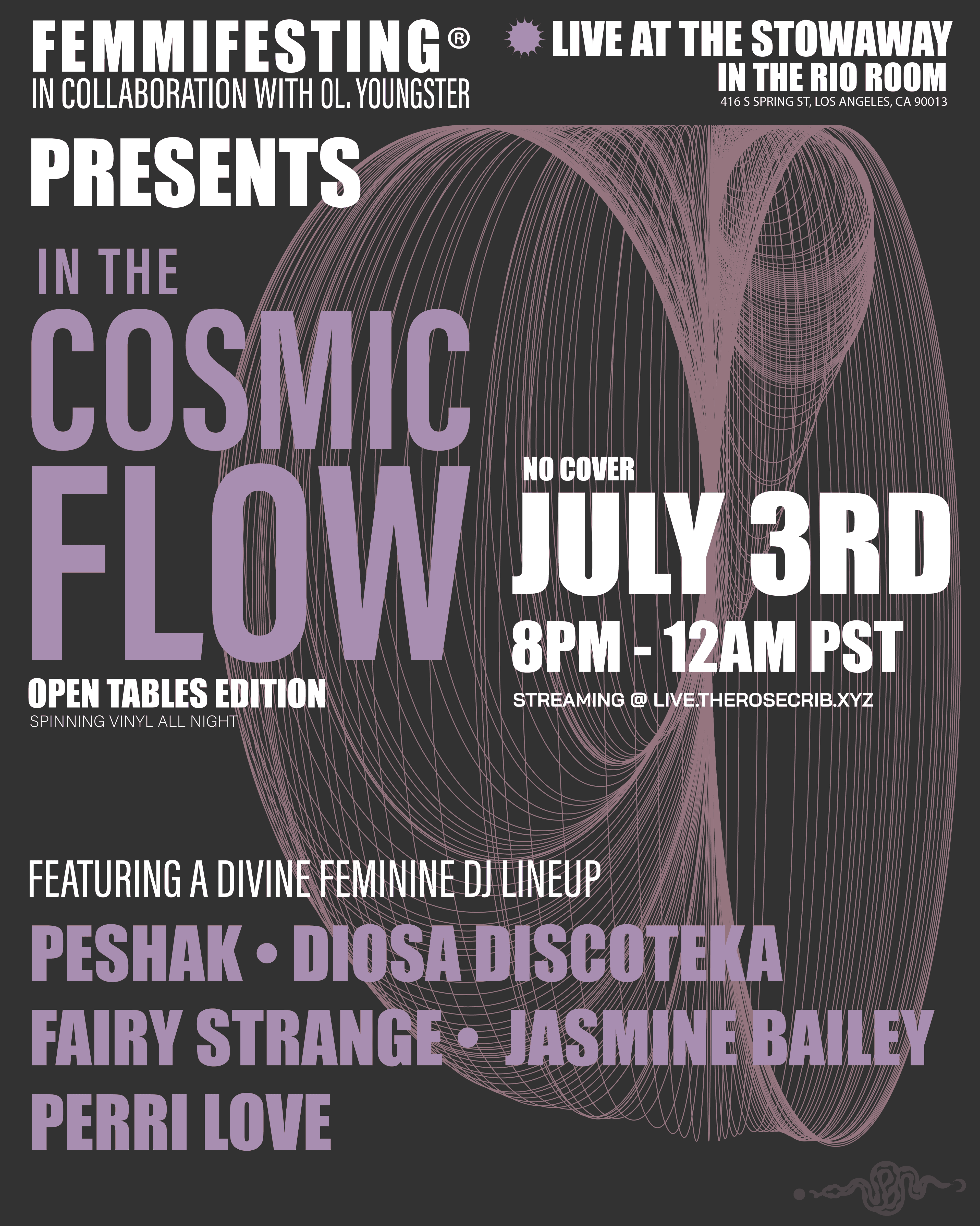 In The Cosmic Flow Vol.2 image